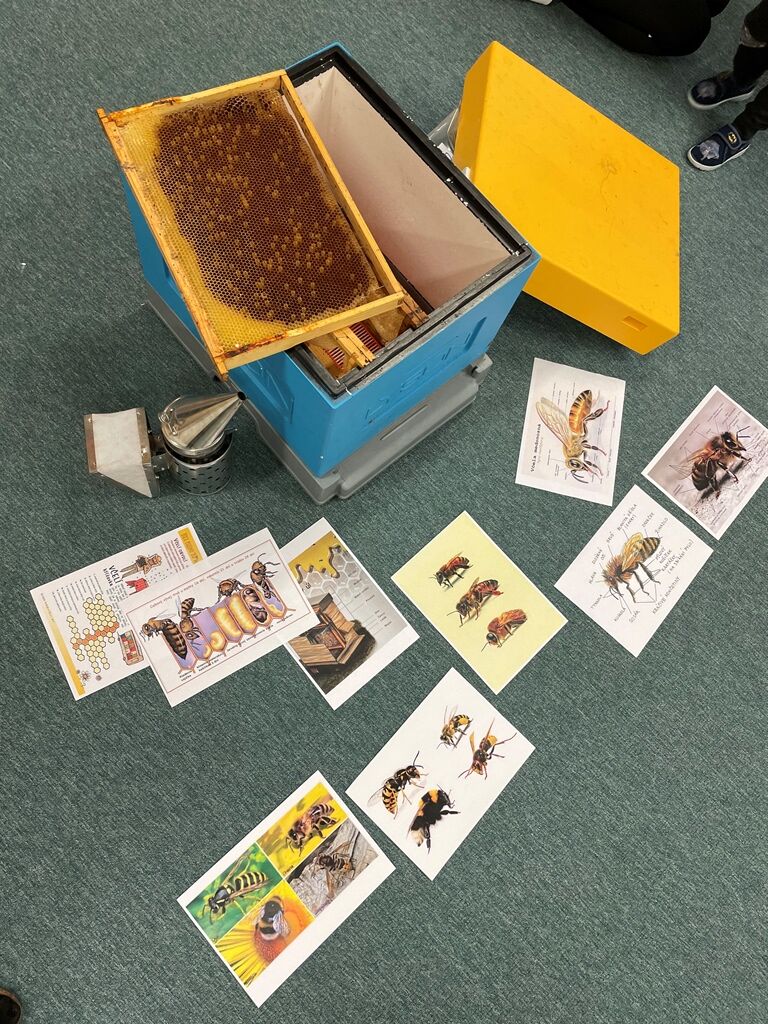 E132C48C-B5A0-4A37-96C6-E72D3E12DDE8