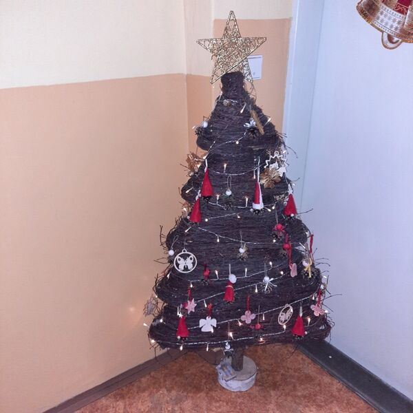Foto 10 (2)