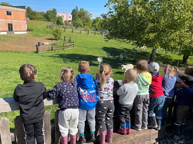 56A8EED0-0287-44E5-B3E6-139B1E3846AC