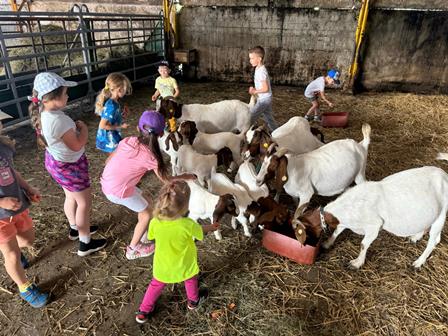 6f24dafe-76a5-4599-a3d5-00e63337b1c3