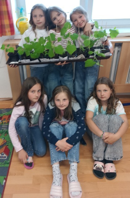 IMG_20250526_125517157~2