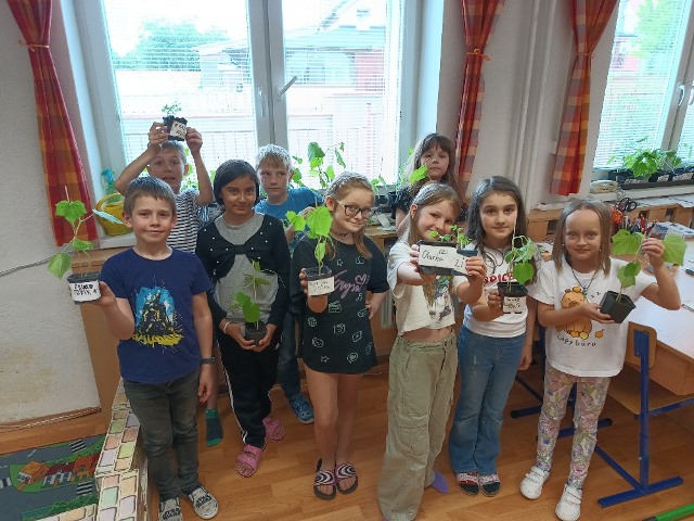 IMG_20250529_130808306_HDR