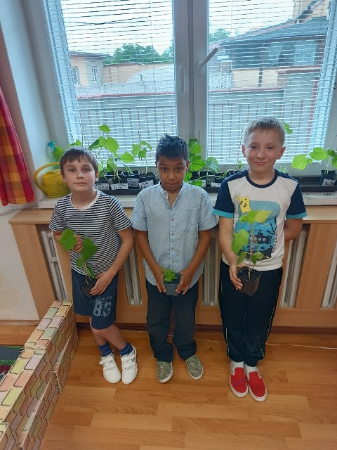 IMG_20250529_132154116_HDR