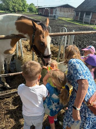 e843febd-fb1d-47b0-b9f1-5815058a8643