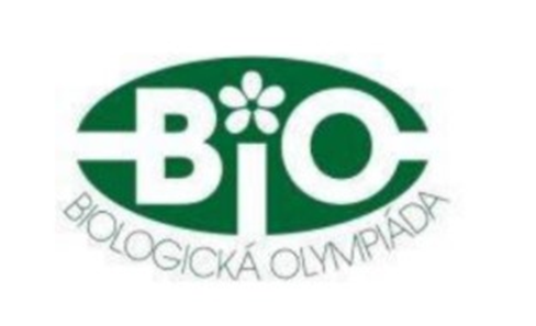 image (1)